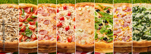 Photo collage with eight different types of pizza