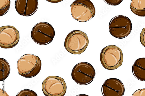 seamless pattern of macadamia nuts, color vector