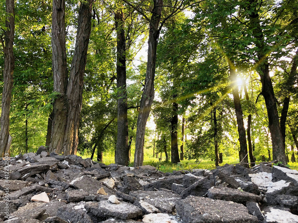 Heaps of broken asphalt in a beautiful green forest. Heaps of broken asphalt in a beautiful green forest.