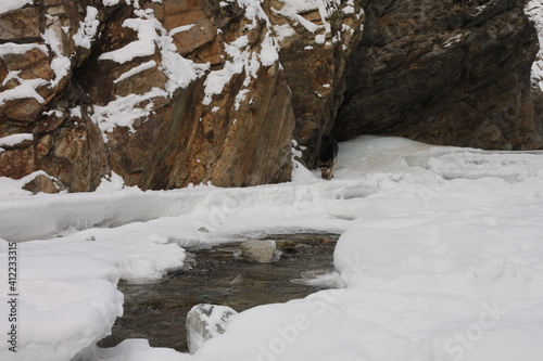 river in winter