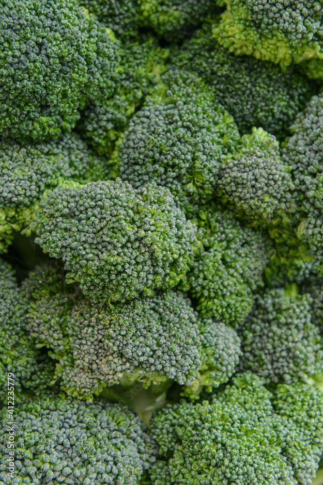 Fresh broccoli cabbage as background Fresh broccoli cabbage as background