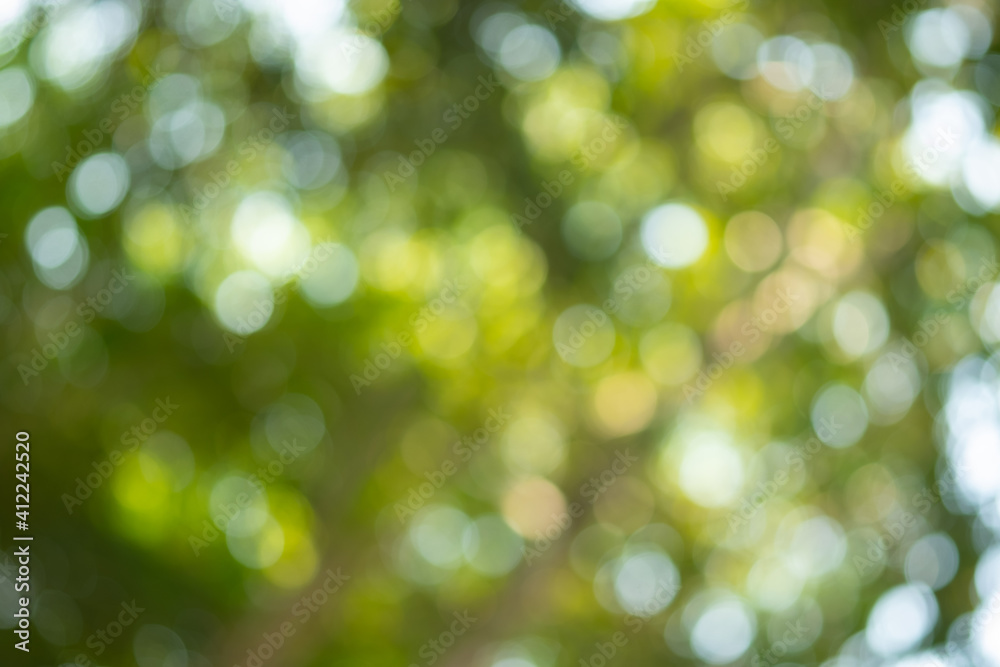 Light of out focus,Blurred background.Bokeh from natural green leaves. Light of out focus,Blurred background.Bokeh from natural green leaves.