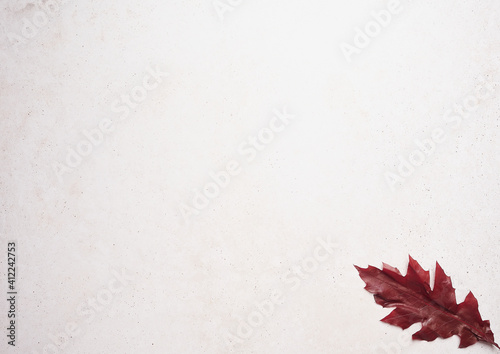 pink stone surface with a red tree leaf in corner with copy space