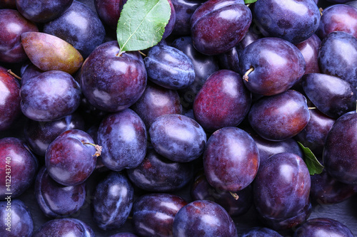 Canvastavla Many ripe plums as background