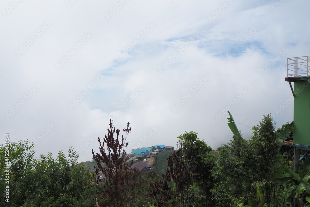 Obraz premium Mountain and fog at Phu Tab Berk, Petchaboon, Thailand.