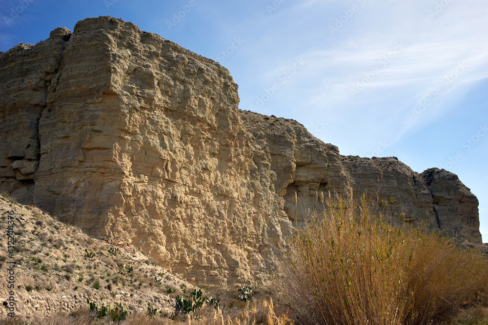 Galacho de Juslibol, unique and singular ecosystem, a protected natural area located next to the Ebro river.