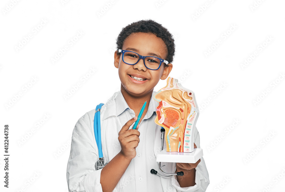 Oral cavity anatomical model in child's hands, close-up. Studying human anatomy and biology at school Oral cavity anatomical model in child's hands, close-up. Studying human anatomy and biology at school