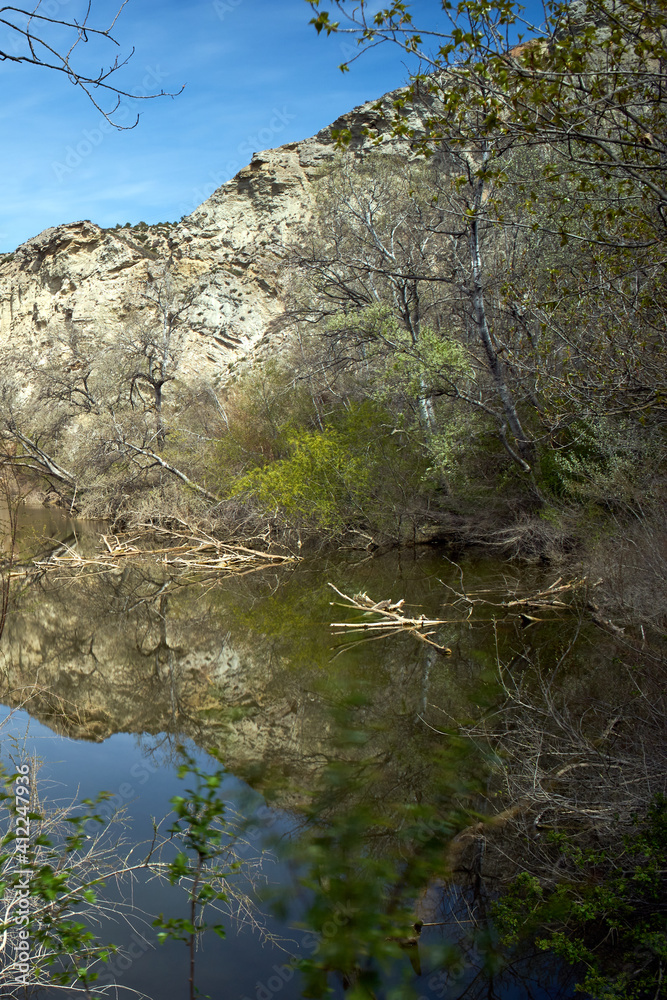 Galacho de Juslibol, unique and singular ecosystem, a protected natural area located next to the Ebro river. Galacho de Juslibol, unique and singular ecosystem, a protected natural area located next to the Ebro river.