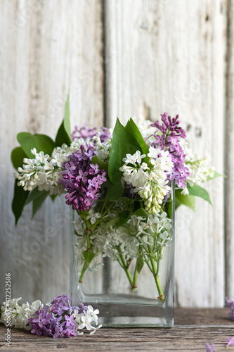 A bouquet of spring purple and white lilacs in a vase on a light wood background. Glass transparent container with water. Rustic aromatic composition. Soft focus
