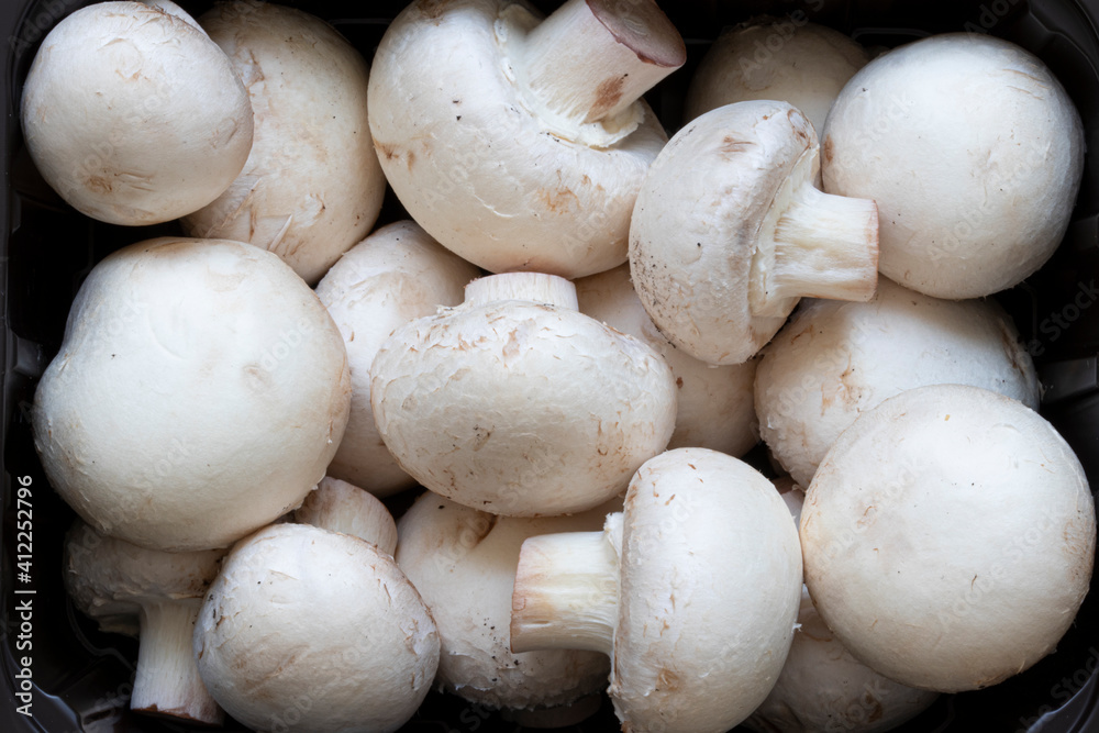 Healthy and tasty champignon mushrooms close-up.