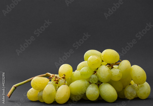 un grappolo di uva matura da coltivazione biologica