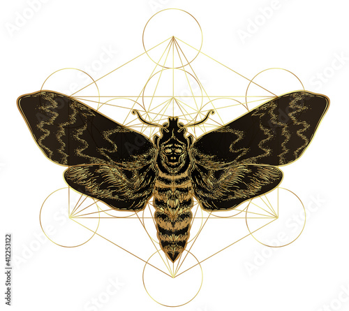 Golden moth over sacred geometry sign, isolated vector illustration. Tattoo flash. Mystical symbols and insects in gold. Alchemy, occultism, spirituality. Hand-drawn vintage.