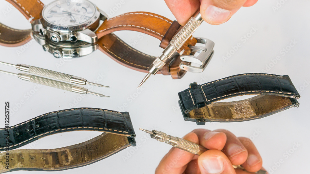 Spring bar tool and spring bars. Spring bar tool used to remove spring