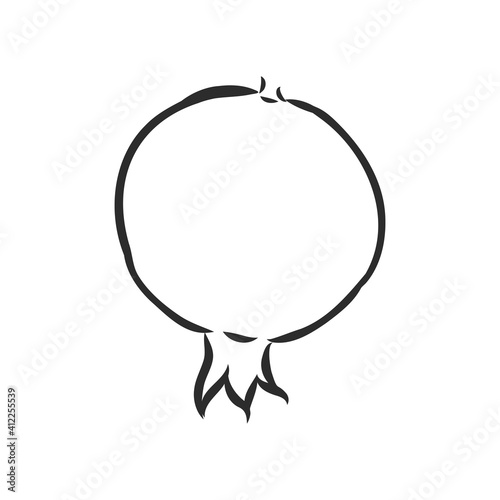 fruit pomegranate set hand drawn vector illustration realistic sketch. garnet vector sketch illustration
