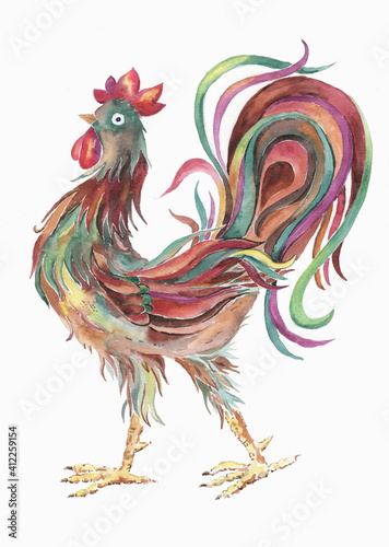 Colorful  rooster art - Hand painted drawing isolated on white background