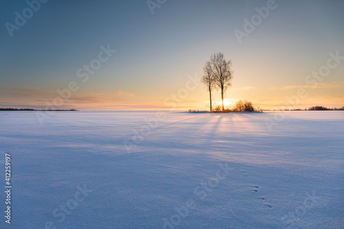 beautiful snow-covered fields with trees in the background