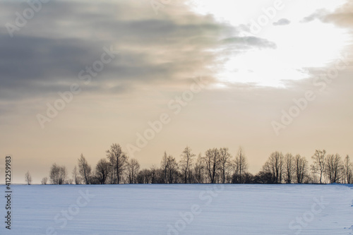 beautiful snow-covered fields with trees in the background © Alex