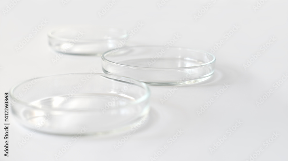 empty glass Petri dishes on a laboratory table. sterile lab dishes ...