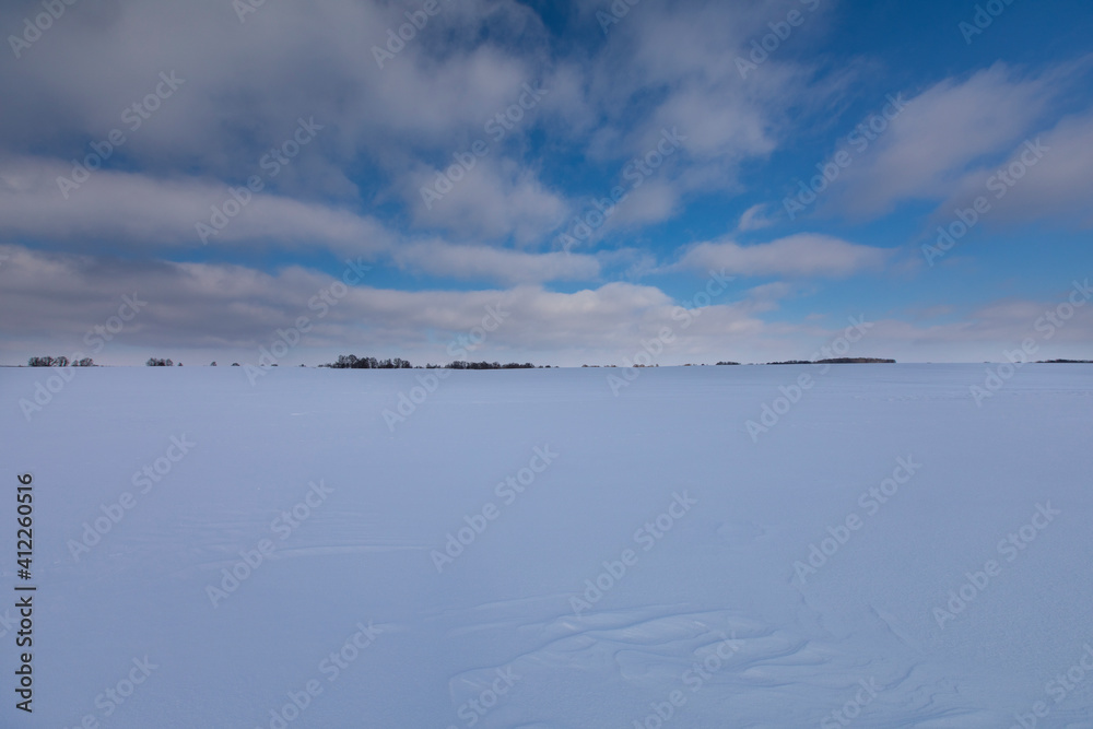 beautiful snow-covered fields with trees in the background
