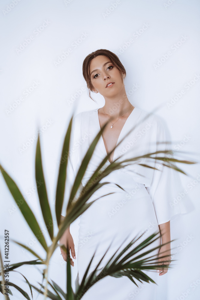 Beautiful happy sophisticated bride in a wedding dress in a light room Beautiful happy sophisticated bride in a wedding dress in a light room