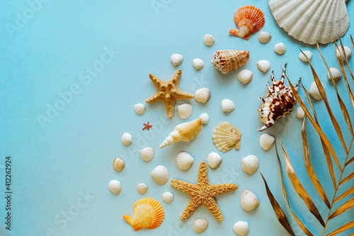 flat lay travel, a beautiful background of many small seashells and starfish with a copy of the space
