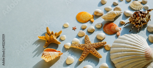 flat lay travel, a beautiful background of many small seashells and starfish with a copy of the space
