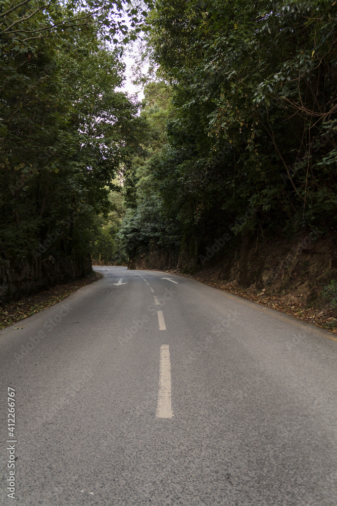 Fototapeta premium Direction arrows on empty asphalt road