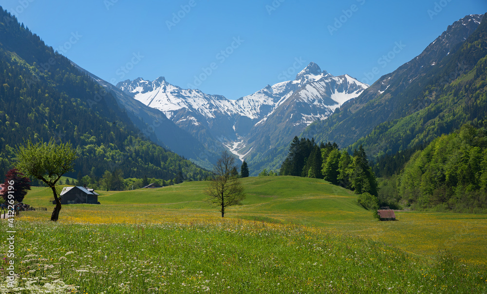 idyllic spring landscape Trettach valley with view to snowy allgau alps and beautiful flower meadow