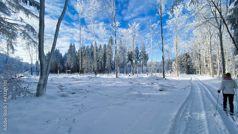 Obraz premium Rhön Winterwald