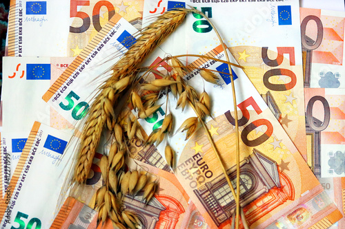 Euro banknotes background with ears of wheat and oats. Subsidies for agriculture