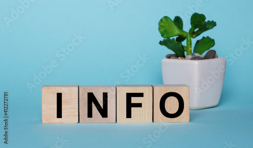 On a blue background, on wooden cubes near a plant in a pot INFO is written