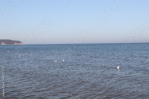 seagulls on the sea, blue see and sky