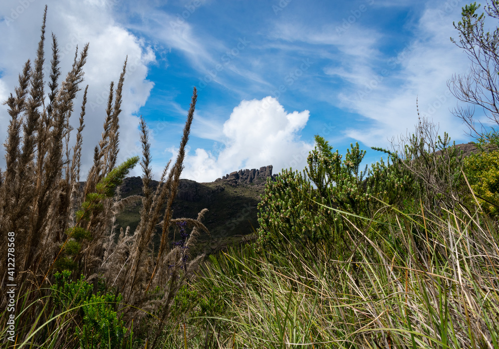 alpine meadow landscape with blue sky