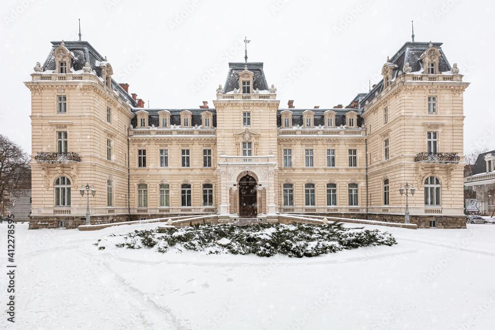 Potocki palace in Lviv in winter