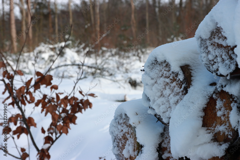 Traumhafte Winterlandschaft