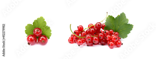  Fresh red currant isolated on white background