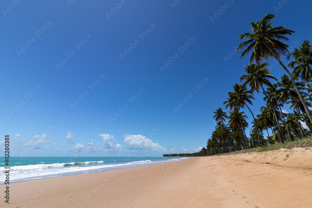beautiful deserted beach with green water, coconut trees, and blue sky in the background