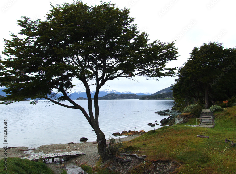 Landscape of Tierra del Fuego National Park, Argentina 