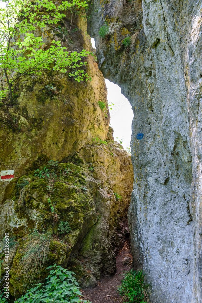 Wanderung auf dem Jägersteig im Naturpark Altmühltal, gesund, erholsam, erlebnisreich, anspruchsvoll Wanderung auf dem Jägersteig im Naturpark Altmühltal, gesund, erholsam, erlebnisreich, anspruchsvoll