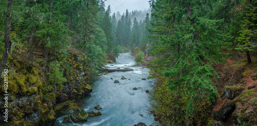Картината върху платно Rogue River Gorge near Union Creek and Crater Lake, Oregon, USA
