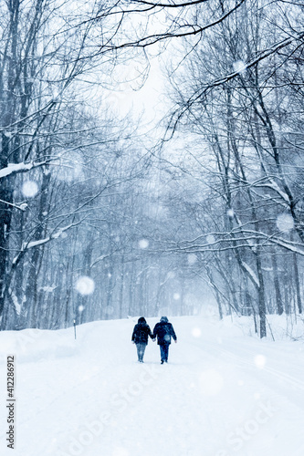 winter in the park