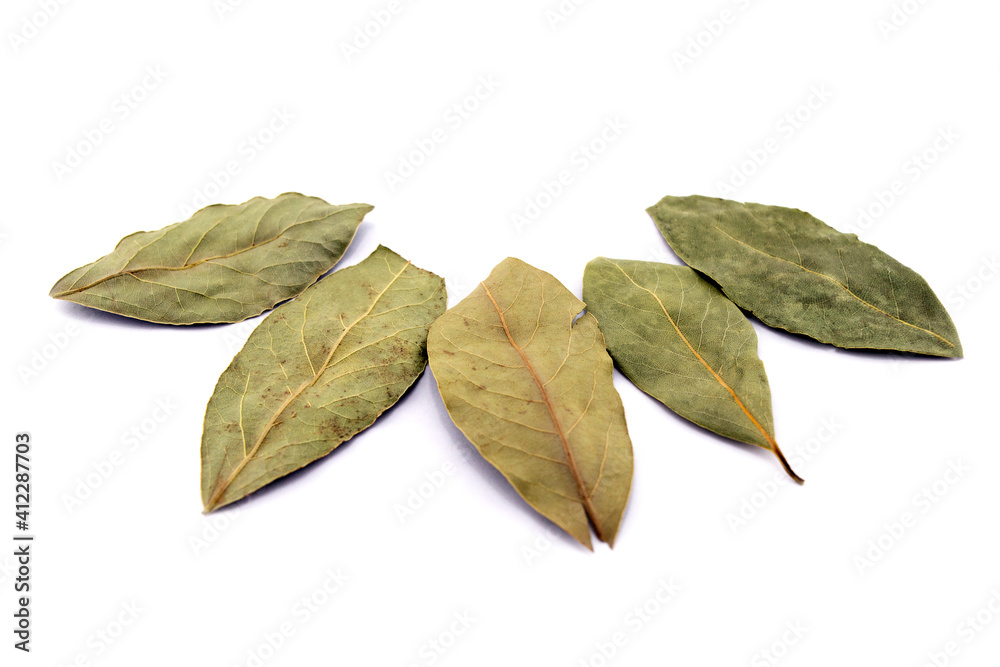 Bay leaves on a white background.