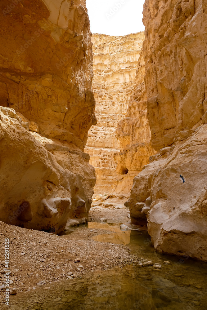 a canyon in the desert after rainy season with small puddles along the way.