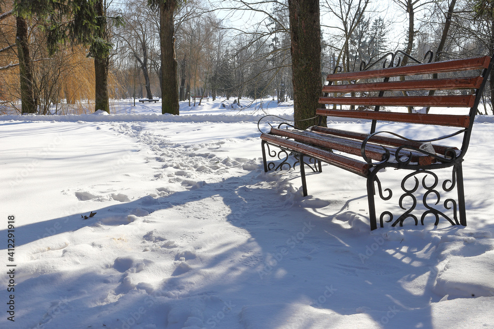 Empty bench in the winter city park, covered with snow. Snow covered the trees. Winter landscape.