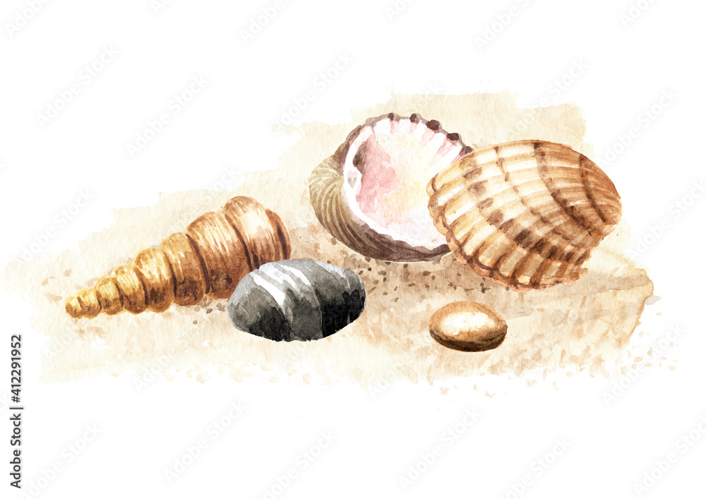 Seashells on the sand. Hand drawn watercolor illustration isolated on white background Seashells on the sand. Hand drawn watercolor illustration isolated on white background