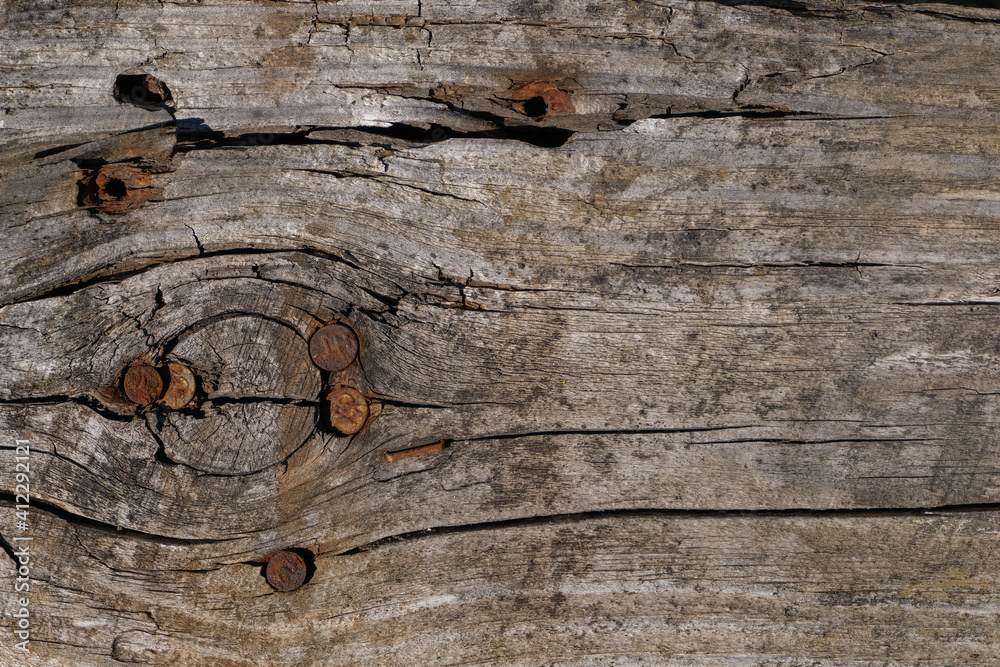 Obraz premium Holzbrett