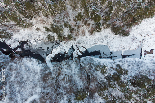 Forest river in winter from drone