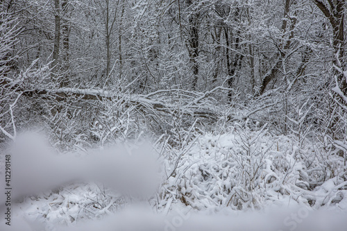 Winterliche Landschaft © Michael Eichhammer