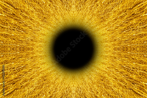 Abstract background of light with spin blur effect