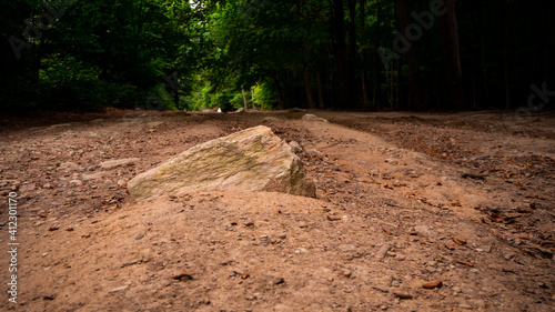 Deserted road in the middle of the forest